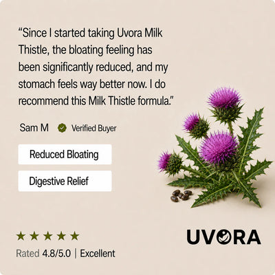 Uvola - Milk Thistle Support